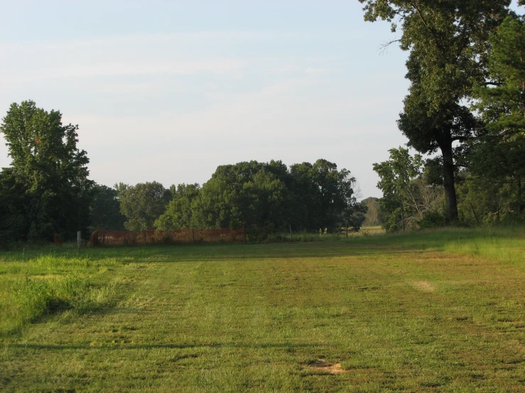 the large grassy field is empty and ready to be used as a fire hydrant