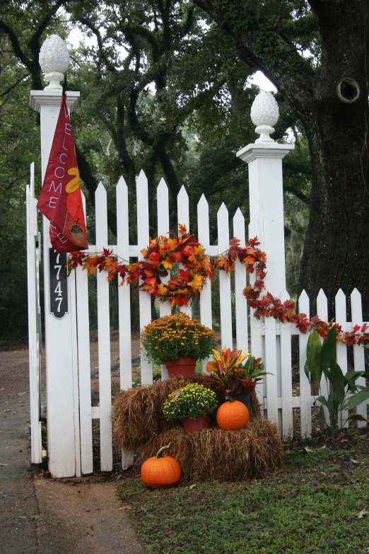 a white fence with flower and pumpkins arranged on it