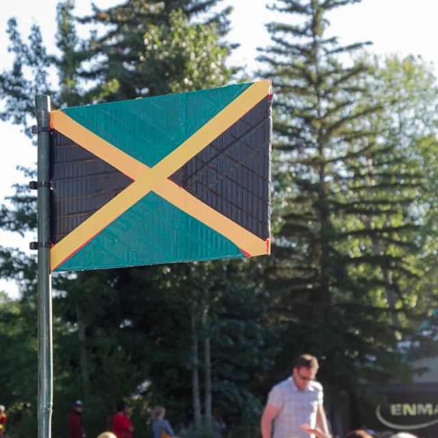 a man is standing beside a flag outside