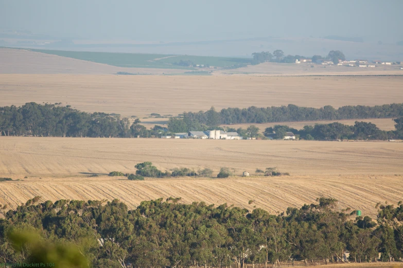 an overview of a farm near a wooded area