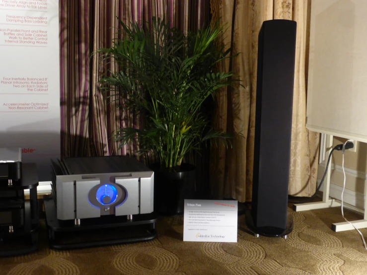 the speaker system and speakers are lined up next to a plant