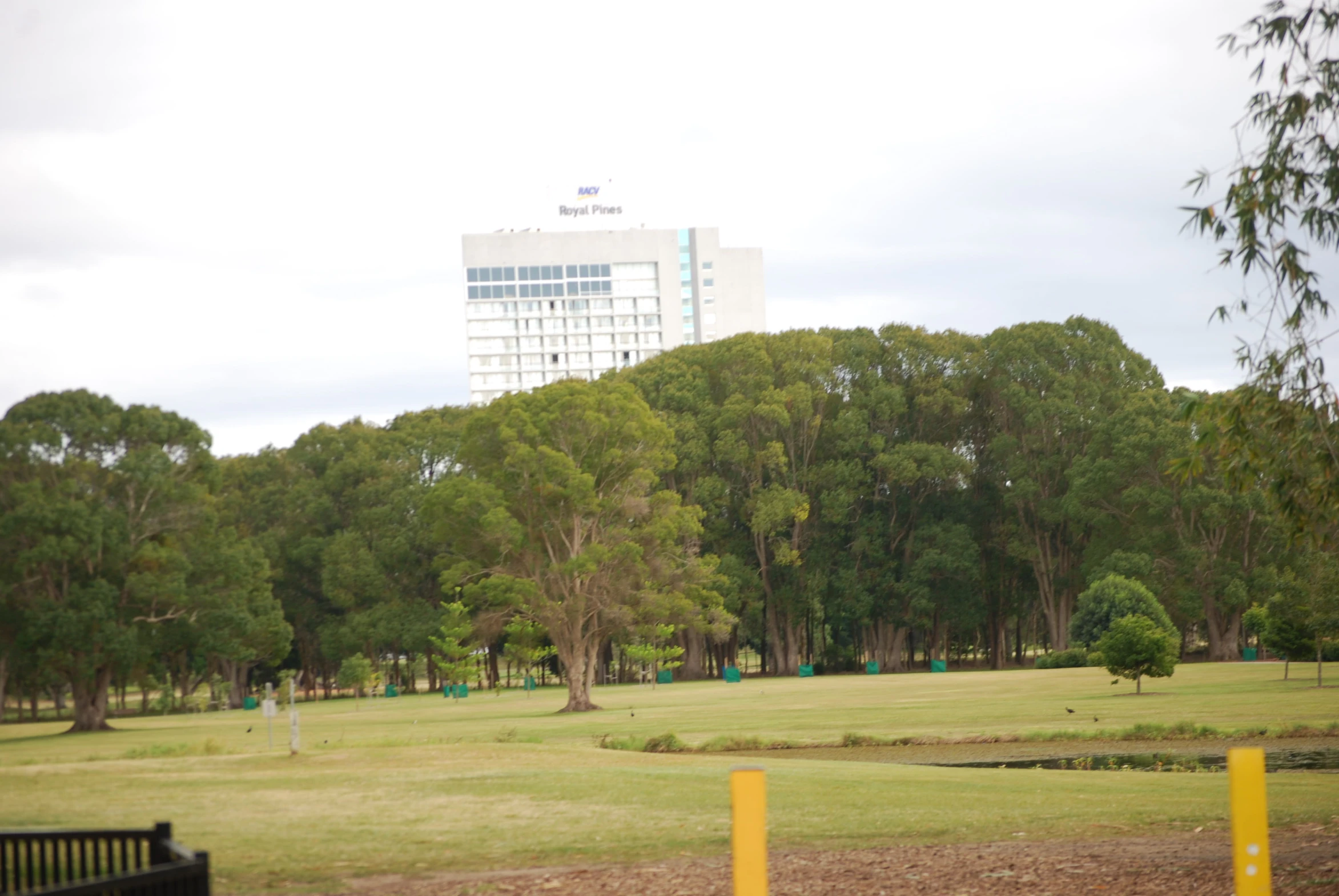 some very large trees grass bushes and buildings