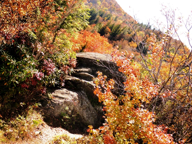 rock formations surrounded by trees on the side of a hill