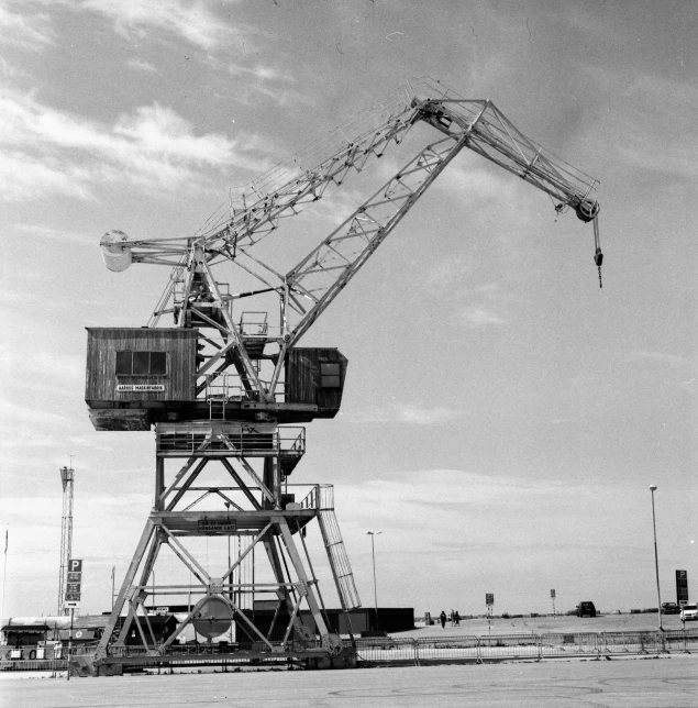 a crane is standing in an open field