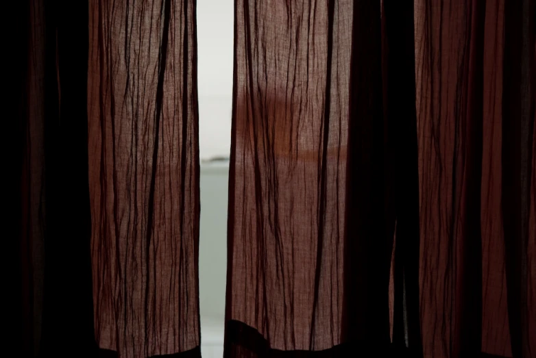 a black and brown cat sitting under some curtains