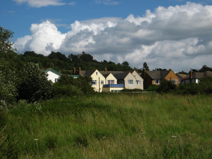 a row of houses sitting on top of a lush green field