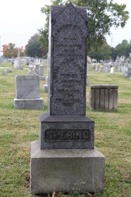 a cemetery marker in the middle of a cemetery
