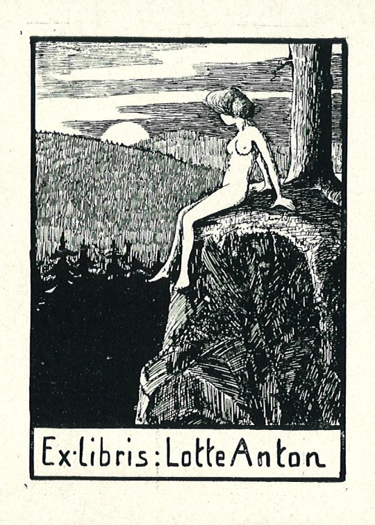 a drawing of a  woman sitting on top of a cliff