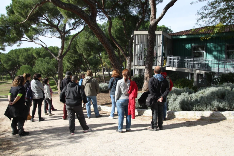 group of people standing near large trees at outdoor park