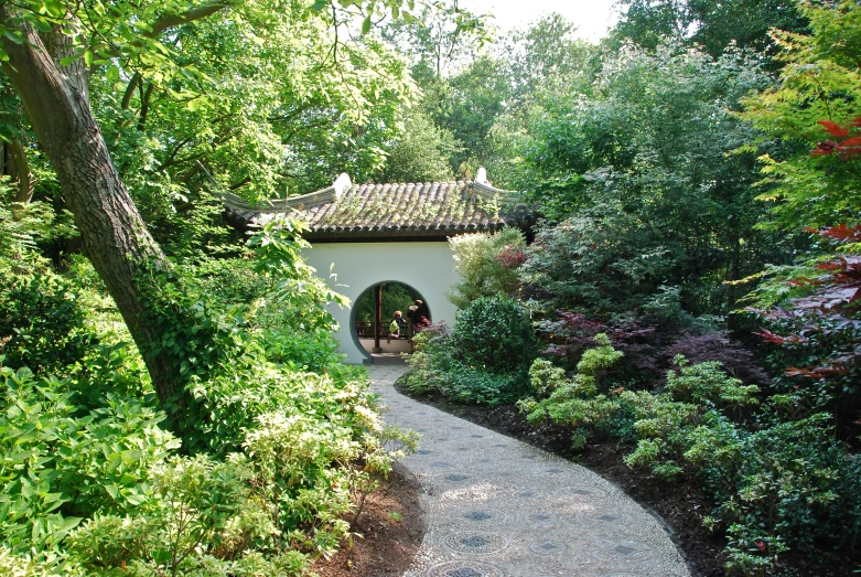 a path through a green park, lined with trees and bushes