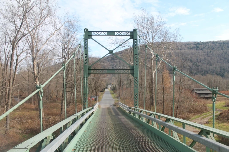 a green bridge spanning a forested hill and trees