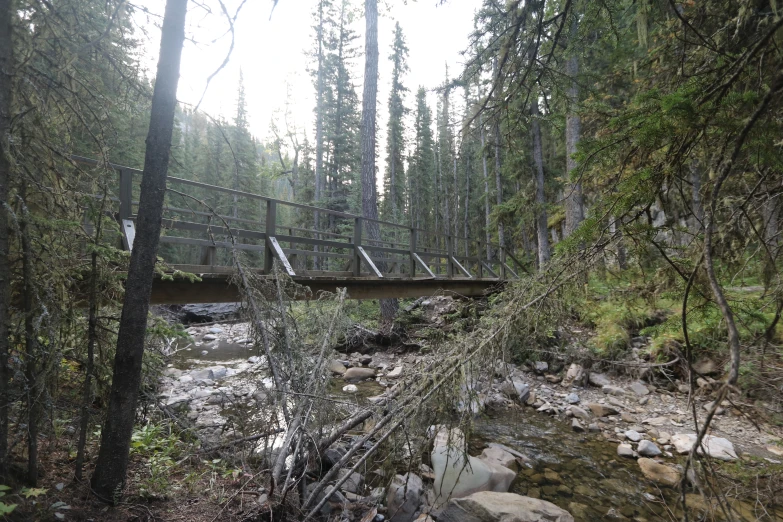 a bridge that goes over the river with water in it