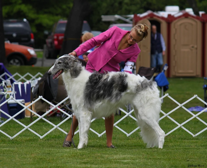 a woman posing with two dogs on a field