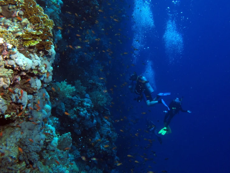 the person is scubang on the rocky ocean floor