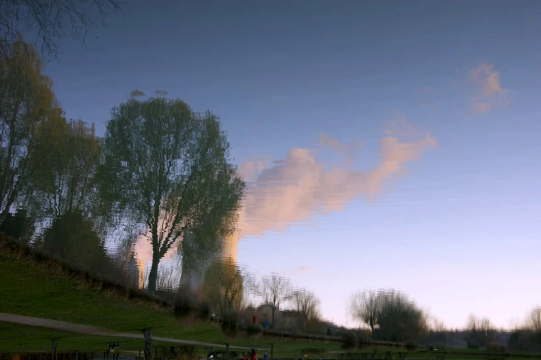 a picture of trees at dusk on a grassy hill