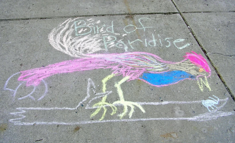 a sidewalk has a chalk drawing of a pink bird on it