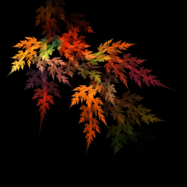 colorful fall leaves with their colors changing to red, yellow and green