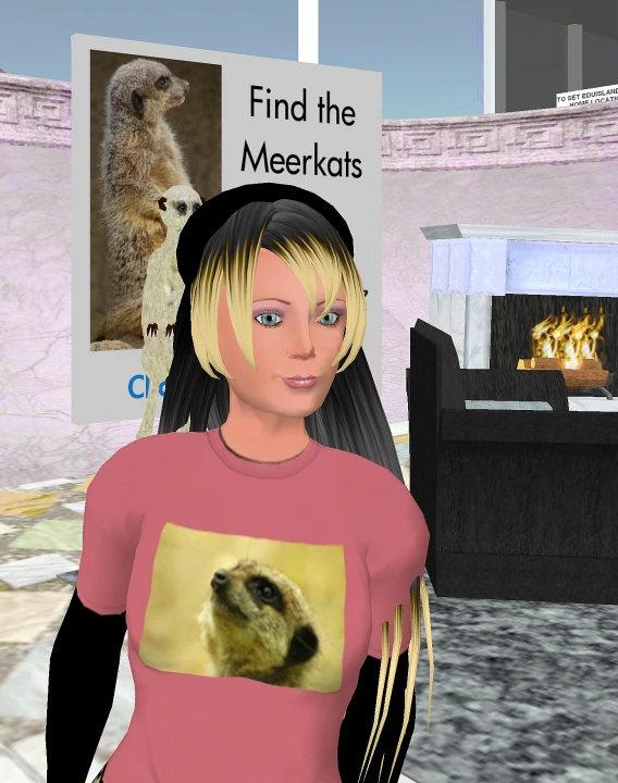 a picture of a person with a meerkat shirt