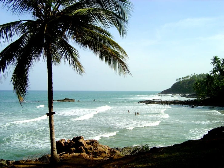 a beach next to a green beach area