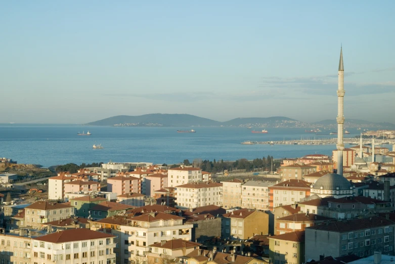 the city view with the ocean in the background