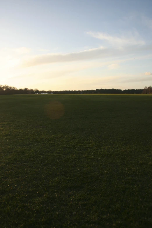 a couple of birds standing on top of a green field