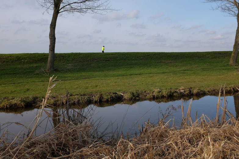 a man walking in the distance in an open field with trees