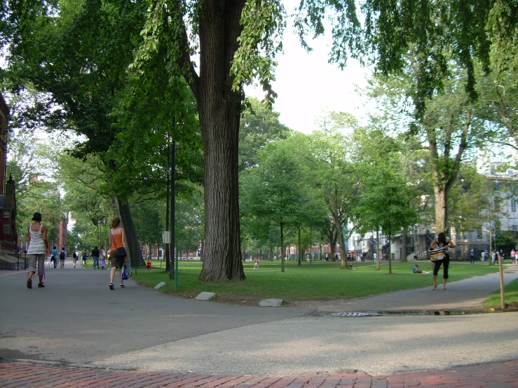 a group of people riding skateboards on a sidewalk in the middle of a park