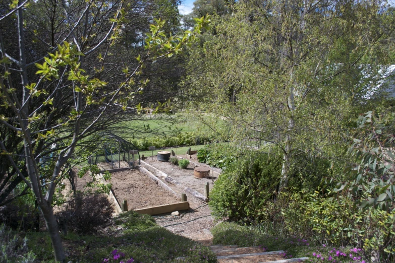 a wooden bench with flowers in the garden