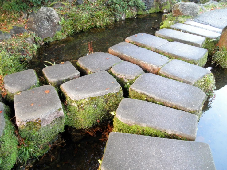 stepping stones laid out into the water in a stepping path