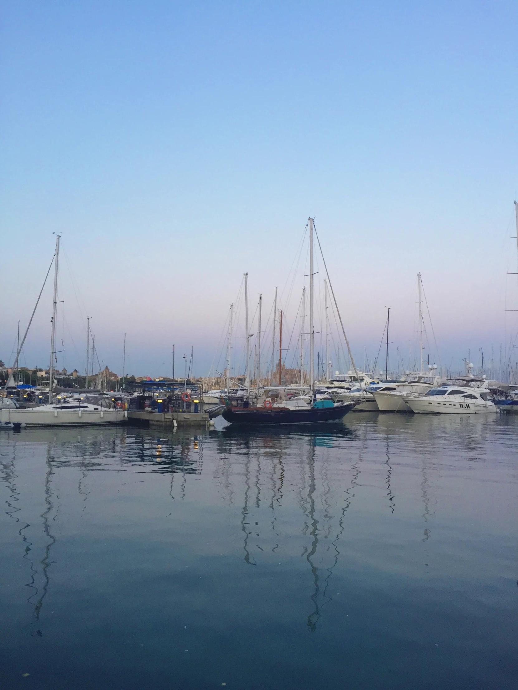 many sailboats on the water in a harbor