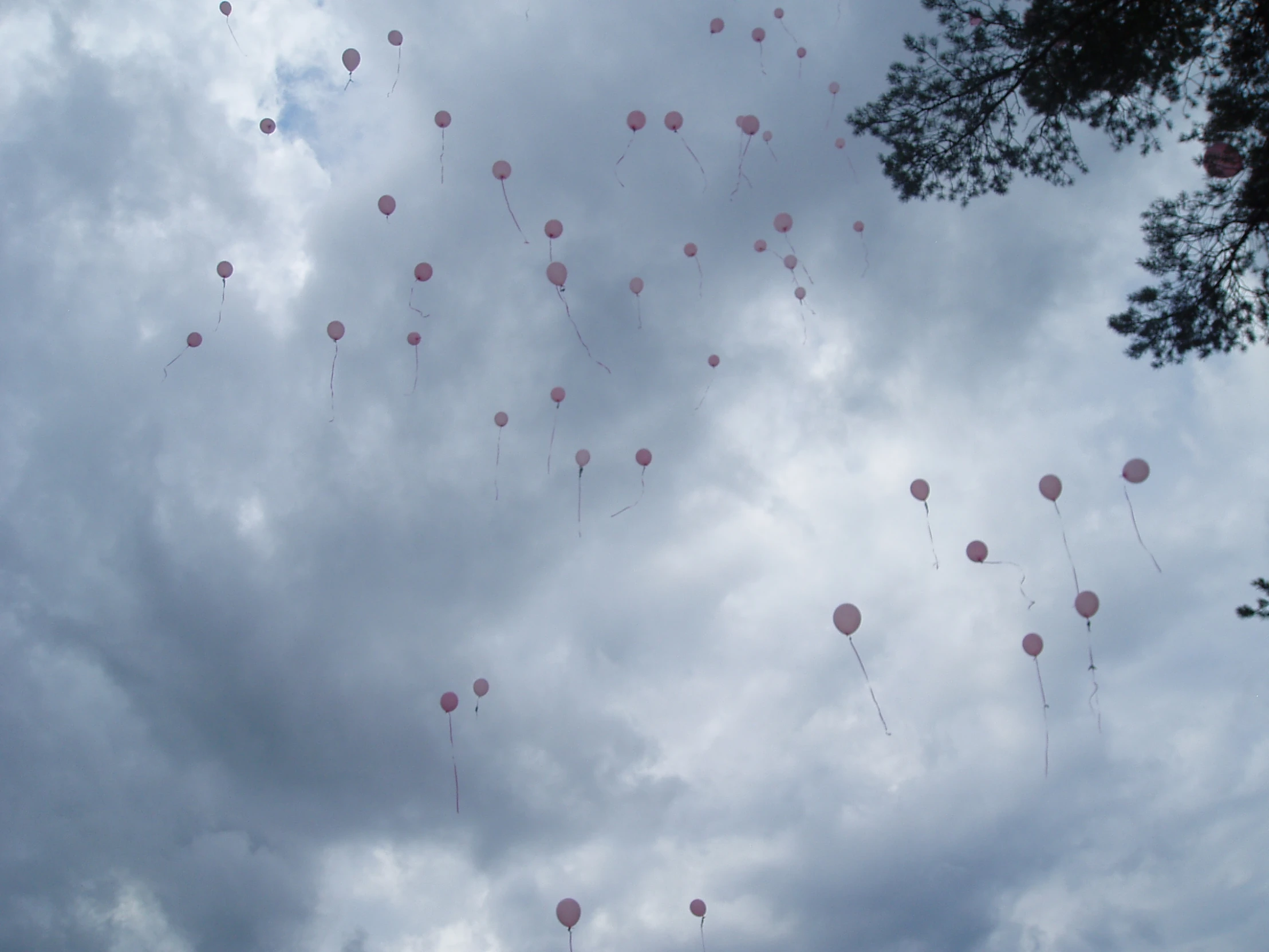 an array of balloons flying against the sky