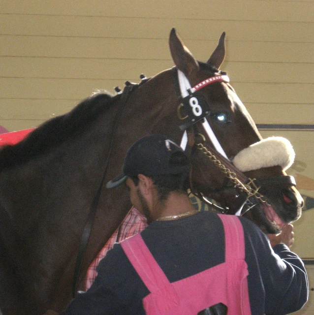 a person that is holding a horse in their hand