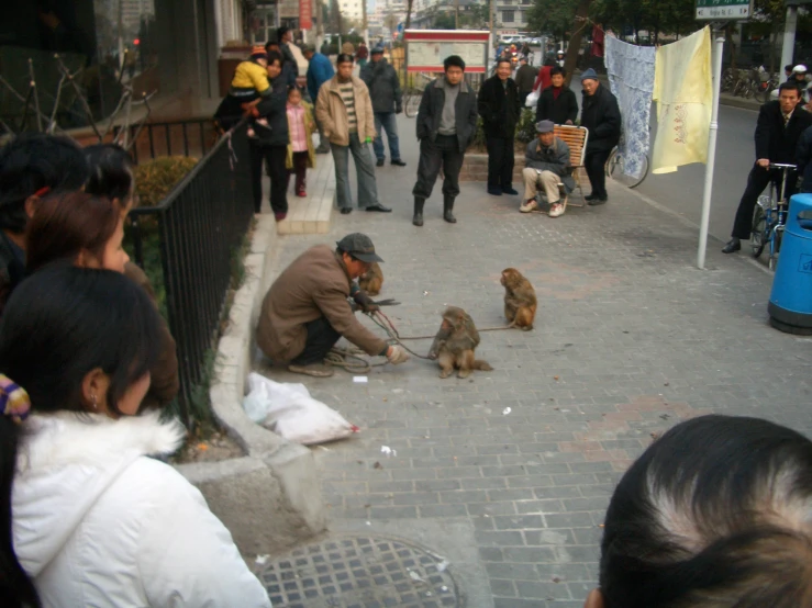 a man pets his dog on the sidewalk while some other people walk by