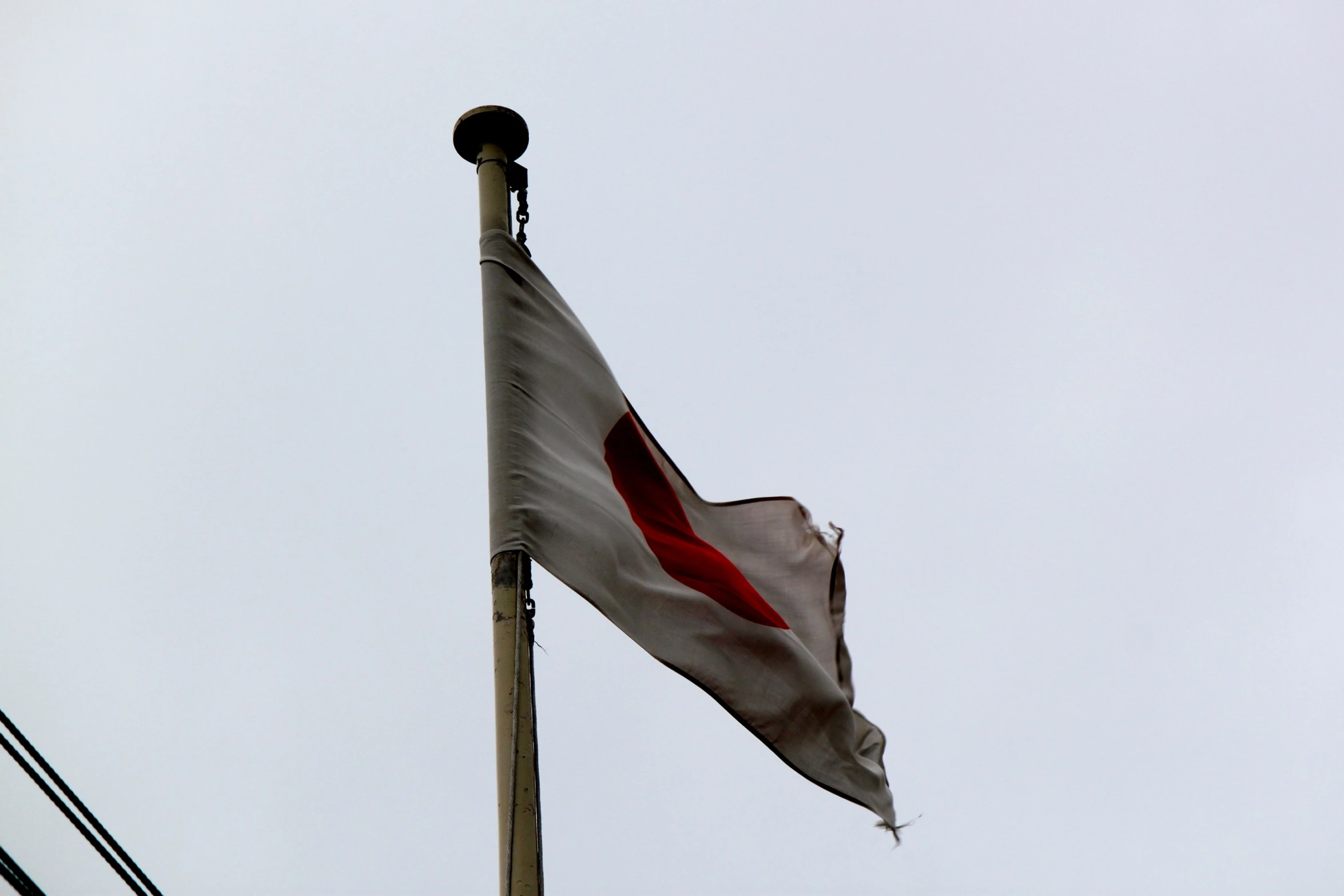 a large flag blowing in the wind with gray skies behind