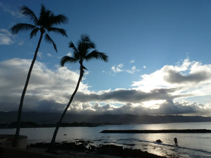 two palm trees and some rocks under a blue sky