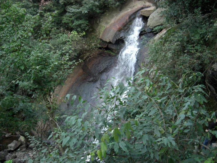 a person sitting near a small waterfall with a green forest surrounding it