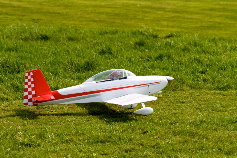 the remote controlled airplane is sitting in the grass