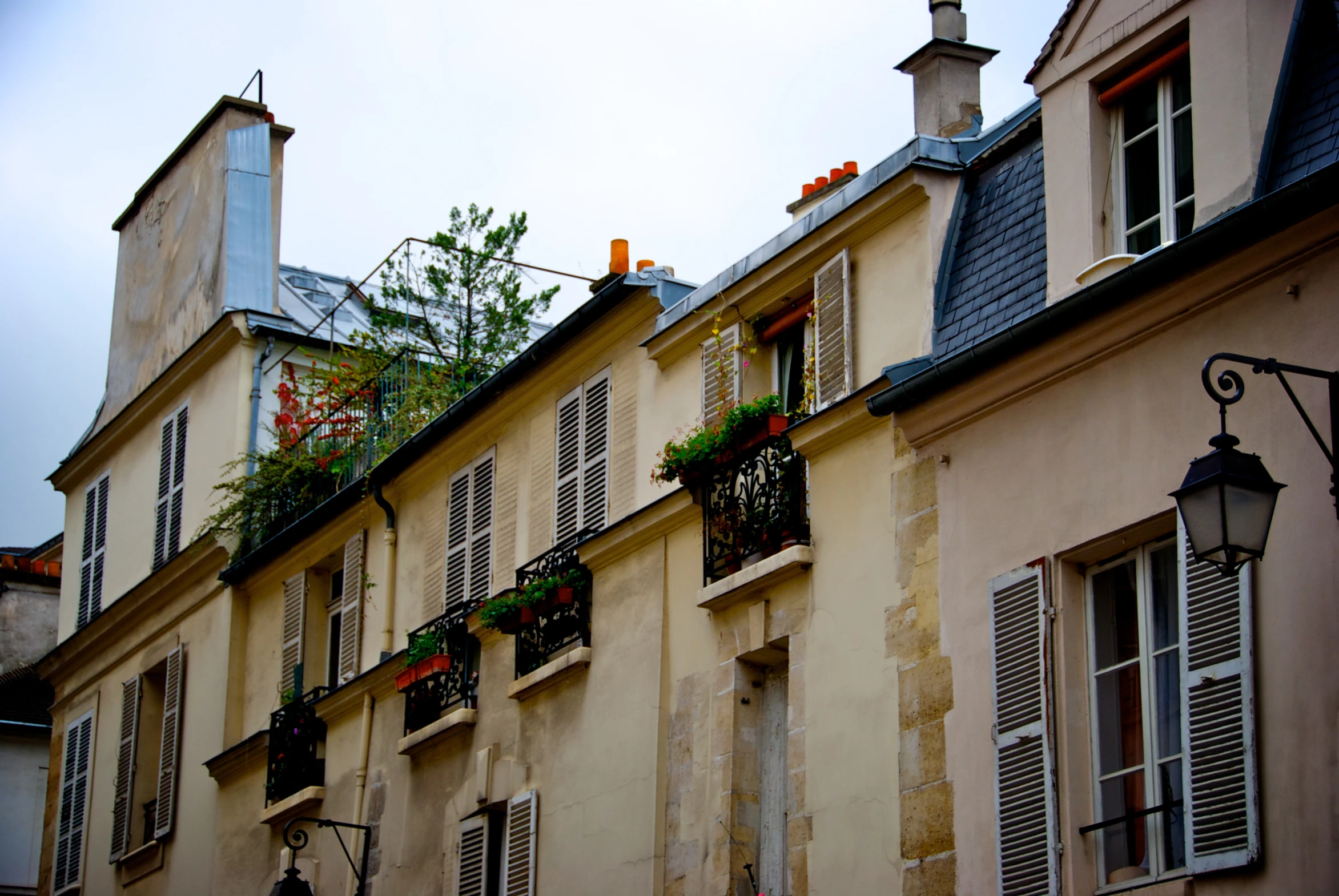 the facade of several building that have plants in pots