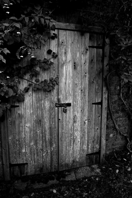 a weathered wooden door on the side of a building