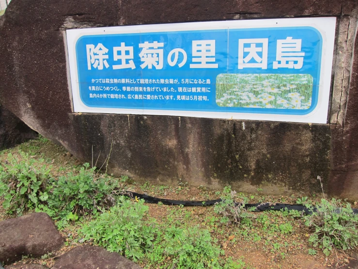 an entrance sign in the middle of a wall