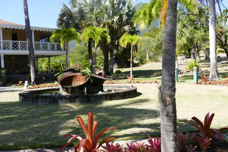 a house with trees and a fountain in the middle of it