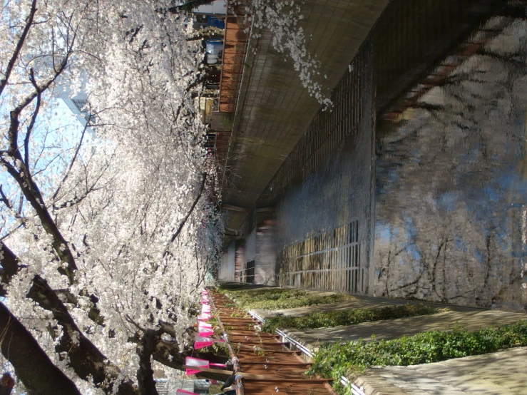 a bridge and a river on a sunny day