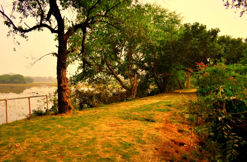 a road that runs next to trees near a body of water