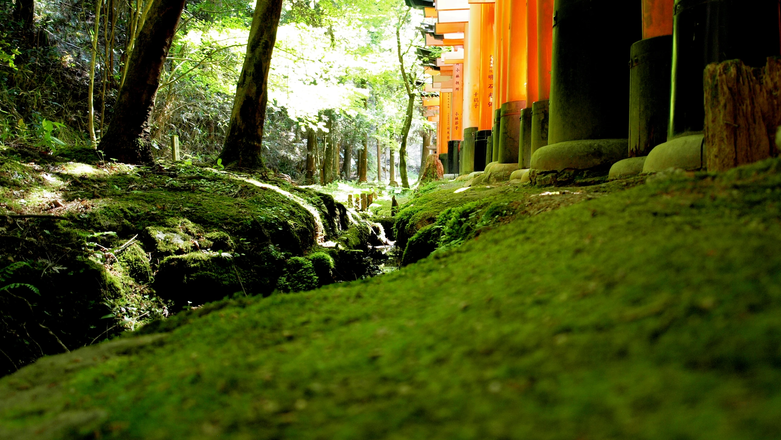 an orange building sitting next to a forest filled with trees