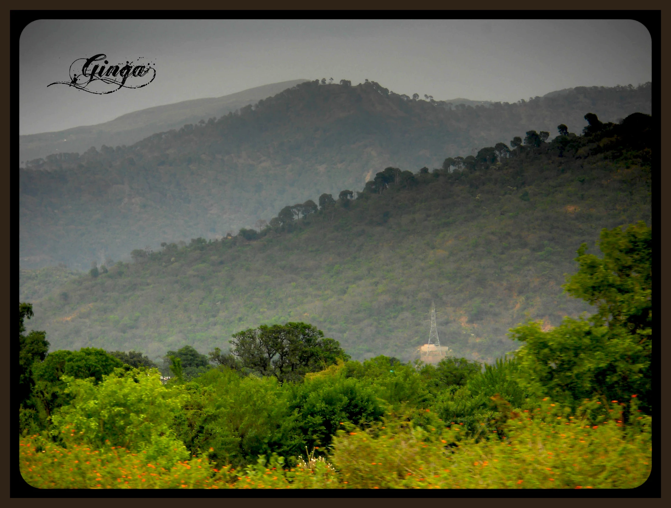 a view of the hills and trees with a radio tower on top