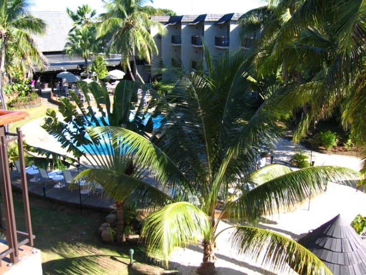 view of a pool and some trees from the balcony