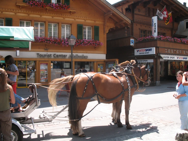 a person is sitting on a horse drawn carriage