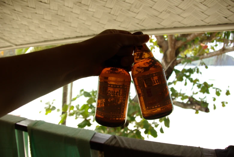 two person holding up beer bottles in the air