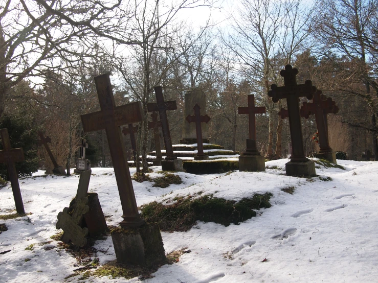 various types of crosses stand in the snow