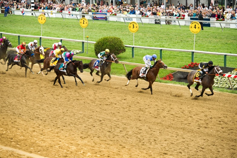 a couple of horse race being held by people